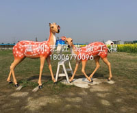 梅花鹿—平陽萬欣生態(tài)園